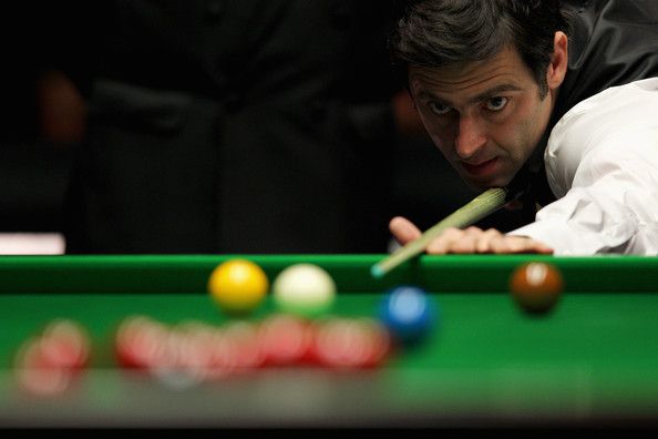 了极高水准 了极高水准