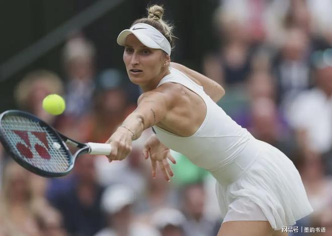 意见和选择 意见和选择